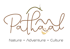 Pathaal logo