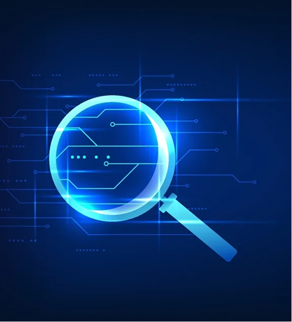 Search & Organic Growth