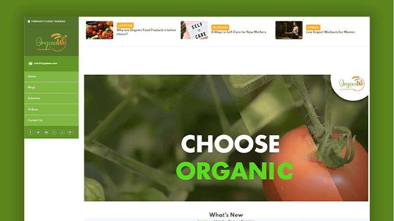 Macula tech brand website design preview